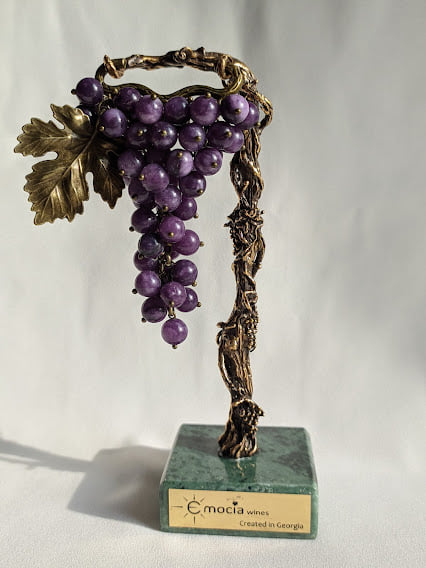 Grape and vine (Saperavi)